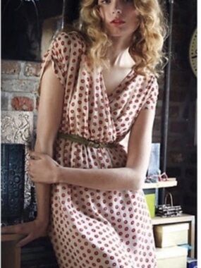 Anthropologie The Addison Story Red Silk Collecting Dots Dress sz S